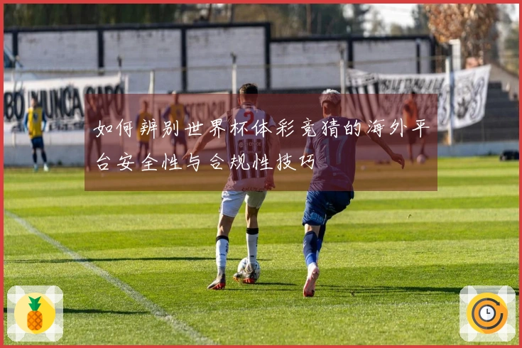如何辨别世界杯体彩竞猜的海外平台安全性与合规性技巧