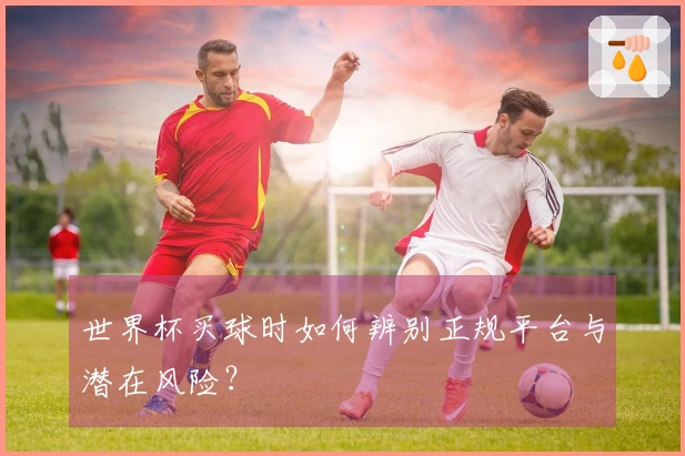 世界杯买球时如何辨别正规平台与潜在风险？