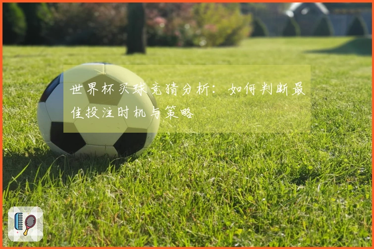 世界杯买球竞猜分析：如何判断最佳投注时机与策略