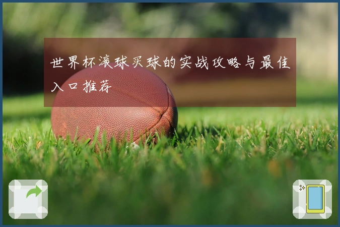 世界杯滚球买球的实战攻略与最佳入口推荐