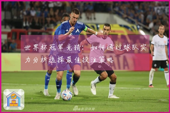 世界杯冠军竞猜：如何通过球队实力分析选择最佳投注策略