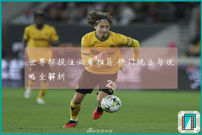 世界杯投注必看推荐 热门玩法与攻略全解析